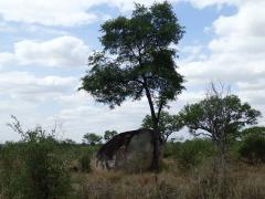 Kruger National Park – October 21, 2014